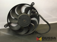 Radiator fan motor