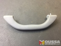 Roof retaining handle