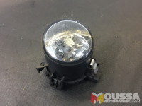 Halogen fog lamp
