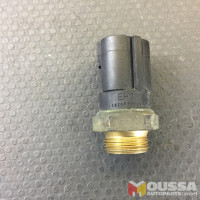Temperature switch radiator sensor