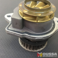 Cooling water pump