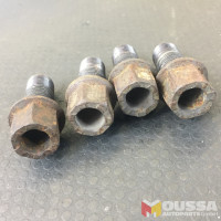 Wheel bolt screws