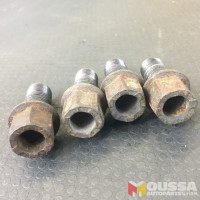 Wheel bolt screws