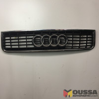 Radiator grille bumper