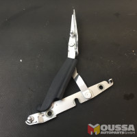 Tailgate strut hinge