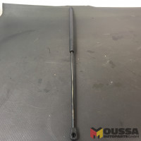 Bonnet support gas strut gas pressure