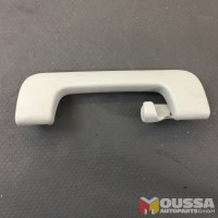 Grab handle with hook