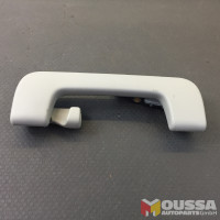Fear handle grab handle with hook