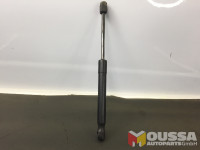 Gas pressure spring strut tailgate