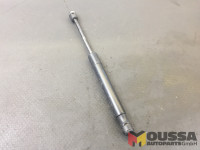 Gas pressure spring strut tailgate