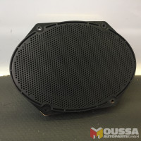 Door speaker loudspeaker