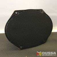 Door Loudspeaker