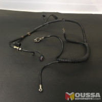 Harness cable set plus pole