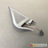 Speaker door mirror cover