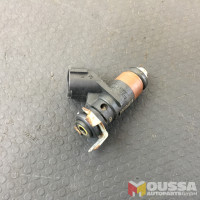 Fuel injector benzin