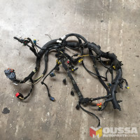 Engine wiring loom