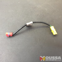 Fuel rail sensor wire