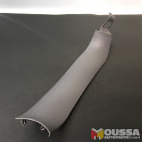 Tailgate trim cover strip
