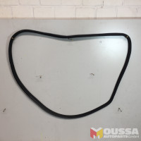 Door seal